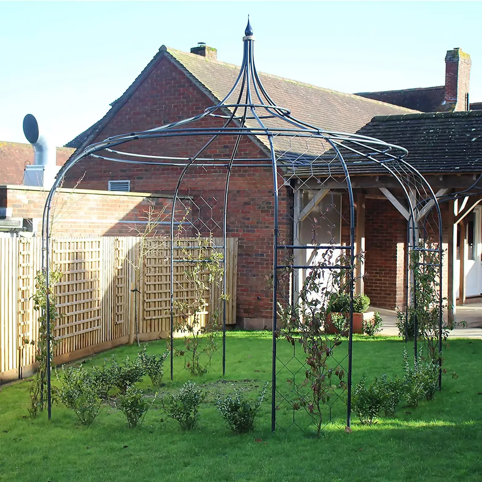 13526253 1714936304893461