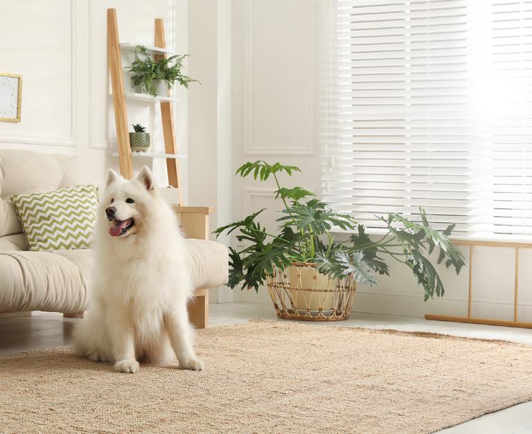 Solihull Website Lifestyle Images5